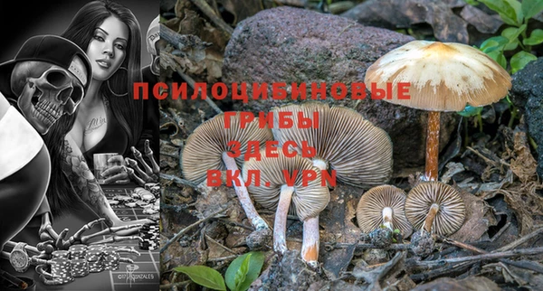 гидра Абинск