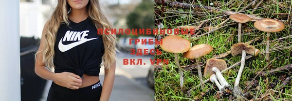 прущие крисы Абаза