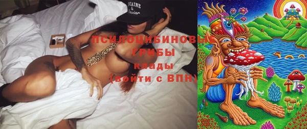 гидра Абинск